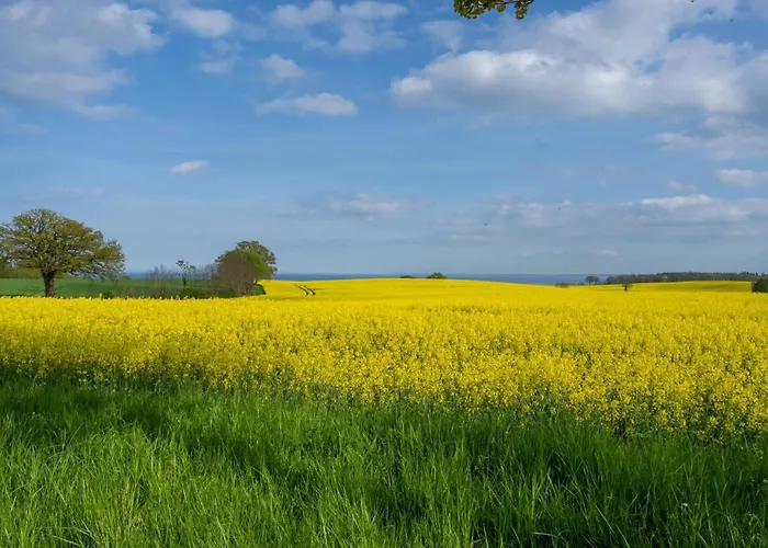 別荘 Strandhaus 2 グレーミッツ